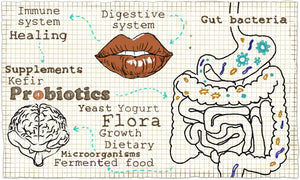 Should I Rotate My Probiotics? What's Important About Switching Strains for a Healthy Microbiome