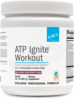 ATP IGNITE WORKOUT MIXED BERRY