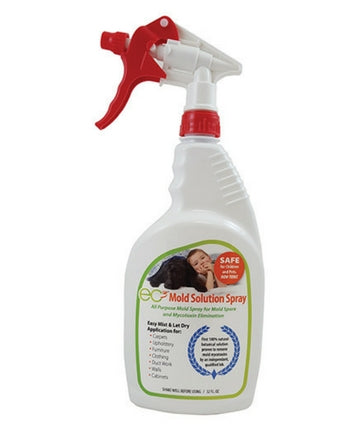 MOLD SPRAY 32 OZ