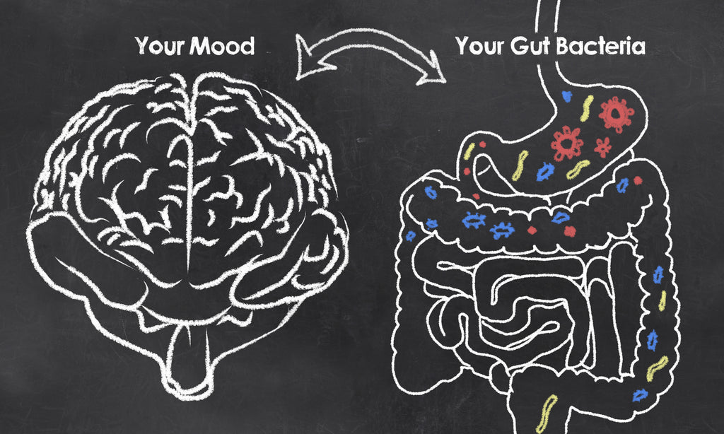The Second Brain: Why Your Gut is the Root Cause of your Brain Imbalance