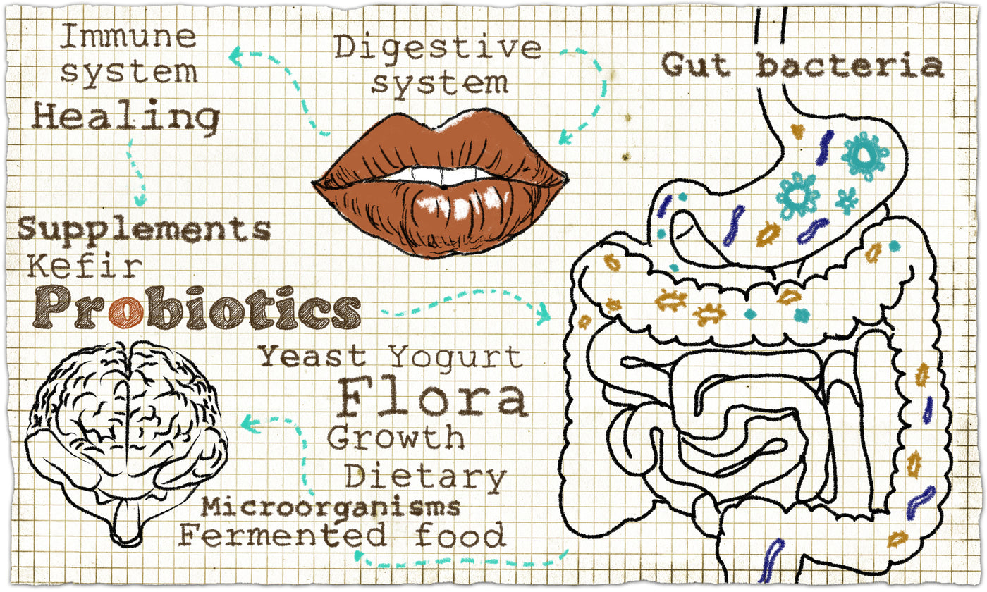 Should I Rotate My Probiotics? What's Important About Switching Strains for a Healthy Microbiome