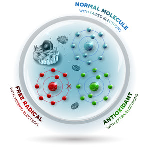 Why Oxidative Stress is Something You Shouldn't Ignore