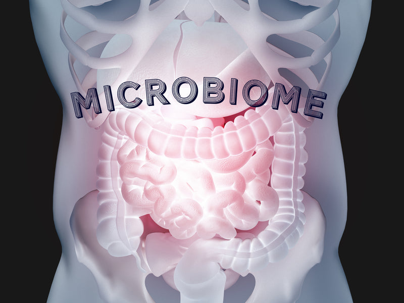 The Core Gut Health Principles: Rethink My Health Episode 12 ...