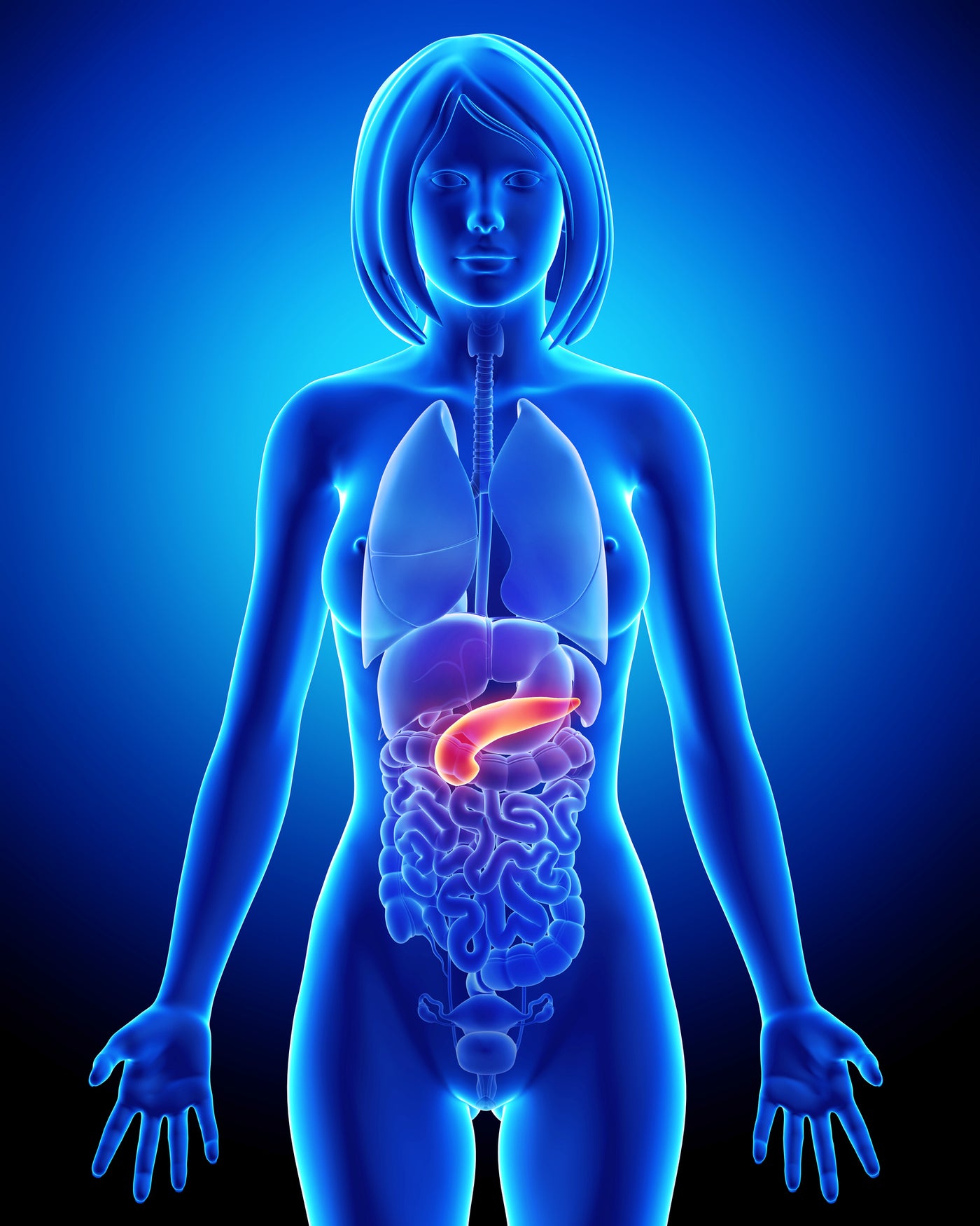 Digestion Problems? Look to the Pancreas as Well