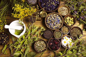 Adrenal Fatigue: Herbal Remedies to Fight Fatigue & Increase Brain Function