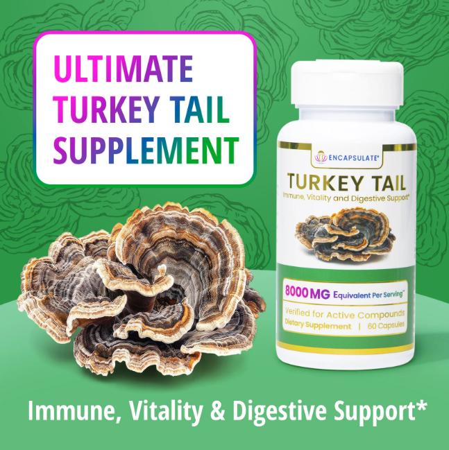 TURKEY TAIL 8000 MG